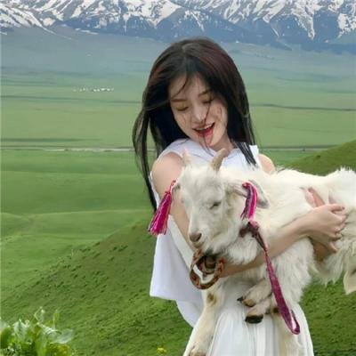 少年斯派维的奇异旅行封面